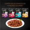 Ração Úmida Cesar Carne Assada Ao Molho Para Cães Adultos - 1 Sachê 85G