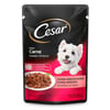 Ração Úmida Cesar Carne Assada Ao Molho Para Cães Adultos - 1 Sachê 85G