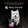 Ração Úmida Cesar Filé Mignon Para Cães Adultos - 85G Sachê