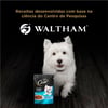 Ração Úmida Cesar Para Cães Adultos Cordeiro Assado - Sachê 85G