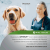 Ração Úmida Frango Optimum Para Cães Adultos De Raças Pequenas - 100G - 1 Unidade