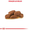 Ração Úmida Gastrointestinal Royal Canin Para Gatos Adultos - 85G