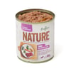 Ração Úmida Joy Origem Nature Carne E Legumes Para Cães Adultos - 300G