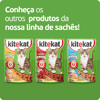 Ração Úmida Kitekat Peixe Ao Molho - 70G