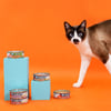 Ração Úmida N&D Natural Atum Para Gatos - 80G