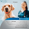 Ração Úmida Optimum Para Cães Adultos Raças Grandes Sabor Carne - 100G