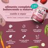 Ração Úmida Papinha De Frango Pet Delícia Para Cães Filhotes - 320G