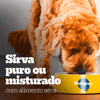 Ração Úmida Pedigree Cães Filhotes Frango Ao Molho - 1 Unidade