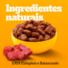 Ração Úmida Pedigree Carne Ao Molho Para Cães Adultos De Raças Pequenas - 1 Sachê 100G