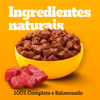 Ração Úmida Pedigree Carne Ao Molho Para Cães Filhotes - 100G