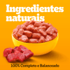 Ração Úmida Pedigree Cordeiro Ao Molho Para Cães Adultos De Raças Pequenas - 100G