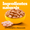 Ração Úmida Pedigree Frango Ao Molho Para Cães Adultos - 100G