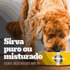 Ração Úmida Pedigree High Protein Cães Adultos Porco E Carne Ao Molho 85G - 1 Unidade