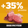 Ração Úmida Pedigree High Protein Sabor Carne E Frango Para Cães Adultos - 85G