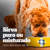 Ração Úmida Pedigree Patê Carne E Frango Para Cães Filhotes - 280G Lata