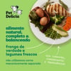 Ração Úmida Pet Delícia Papinha De Frango Para Gatos Filhotes 110G - 1 Unidade