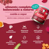 Ração Úmida Pet Delícia Para Cães Caçarolinha De Carne - 110G Ou 320G - 320 Gramas
