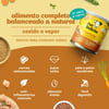 Ração Úmida Pet Delícia Risotinho De Frango Para Cães Adultos - 320G