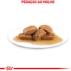 Ração Úmida Renal Royal Canin Para Gatos Adultos 85G - 1 Unidade