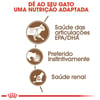 Ração Úmida Royal Canin Ageing Para Gatos Adultos +12 Anos - 85G
