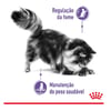 Ração Úmida Royal Canin Controle Do Apetite Para Gatos Adultos - 85G