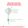 Ração Úmida Royal Canin Cuidado Digestivo Para Cães Adultos - 85G