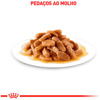 Ração Úmida Royal Canin Hair E Skin Para Gatos Adultos 85G - 1 Sachê