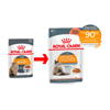 Ração Úmida Royal Canin Hair E Skin Para Gatos Adultos 85G - 1 Sachê
