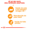 Ração Úmida Royal Canin Hair E Skin Para Gatos Adultos 85G - 1 Sachê