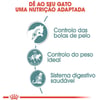 Ração Úmida Royal Canin Hairball Care Para Gatos Adultos - 1 Sachê De 85G