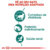 Ração Úmida Royal Canin Instinctive 7+ Para Gatos Adultos - 85G