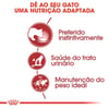 Ração Úmida Royal Canin Instinctive Para Gatos Adultos 85G - 1 Unidade