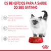 Ração Úmida Royal Canin Kitten Para Gatos Filhotes Até 12 Meses - 85G