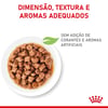 Ração Úmida Royal Canin Kitten Para Gatos Filhotes Até 12 Meses - 85G