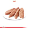 Ração Úmida Royal Canin Light Weight Care Para Cães Adultos - 85G