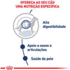 Ração Úmida Royal Canin Maxi Adult Para Cães Adultos De Porte Grande - 140G