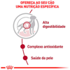 Ração Úmida Royal Canin Medium Adult Para Cães Adultos - 140G
