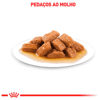 Ração Úmida Royal Canin Medium Adult Para Cães Adultos - 140G