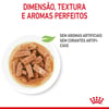 Ração Úmida Royal Canin Medium Puppy Para Cães Filhotes De Porte Médio - 140G