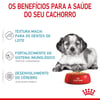 Ração Úmida Royal Canin Medium Puppy Para Cães Filhotes De Porte Médio - 140G