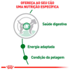 Ração Úmida Royal Canin Mini Adult Para Cães De Porte Pequeno - 85G