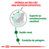 Ração Úmida Royal Canin Mini Ageing 12+ Para Cães Idosos De Porte Pequeno - 85G