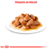 Ração Úmida Royal Canin Mini Ageing 12+ Para Cães Idosos De Porte Pequeno - 85G
