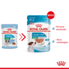 Ração Úmida Royal Canin Mini Puppy Para Cães Filhotes - 85G