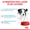 Ração Úmida Royal Canin Mini Puppy Para Cães Filhotes - 85G