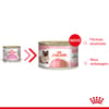 Ração Úmida Royal Canin Mother & Babycat Para Gatas Gestantes E Filhotes - 195G