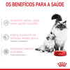 Ração Úmida Royal Canin Mother & Babycat Para Gatas Gestantes E Filhotes - 195G