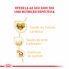 Ração Úmida Royal Canin Para Cães Adultos Shih Tzu - 85G
