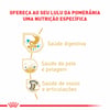 Ração Úmida Royal Canin Para Pomeranian Adulto - 85G