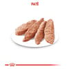 Ração Úmida Royal Canin Patê Para Gatos Adultos Castrados - 85G